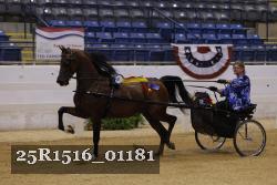 25R1516_01181 thumbnail