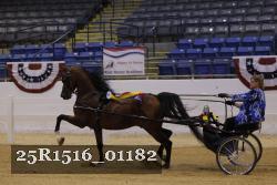 25R1516_01182 thumbnail