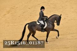 25R1516_01187 thumbnail