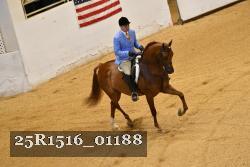 25R1516_01188 thumbnail