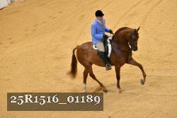 25R1516_01189 thumbnail