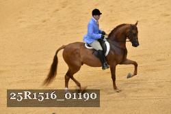 25R1516_01190 thumbnail