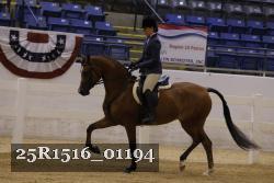 25R1516_01194 thumbnail