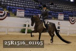 25R1516_01195 thumbnail