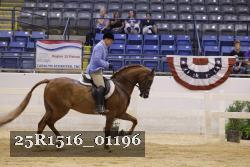 25R1516_01196 thumbnail