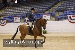 25R1516_01197 thumbnail