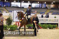25R1516_01199 thumbnail