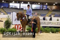 25R1516_01201 thumbnail