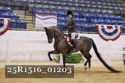25R1516_01203 thumbnail