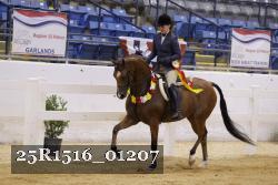 25R1516_01207 thumbnail