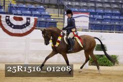 25R1516_01208 thumbnail