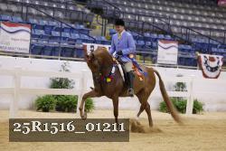 25R1516_01211 thumbnail