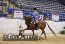 25R1516_01212 thumbnail