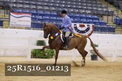 25R1516_01213 thumbnail