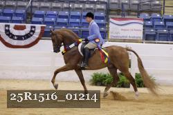 25R1516_01214 thumbnail