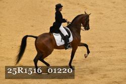 25R1516_01220 thumbnail