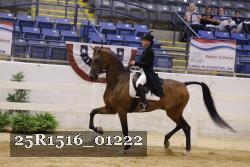 25R1516_01222 thumbnail