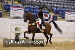 25R1516_01230 thumbnail