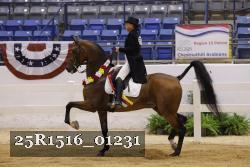 25R1516_01231 thumbnail