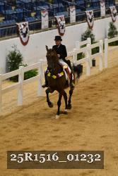 25R1516_01232 thumbnail