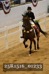 25R1516_01233 thumbnail