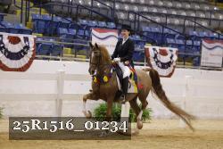 25R1516_01234 thumbnail