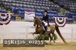 25R1516_01235 thumbnail