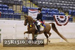 25R1516_01236 thumbnail