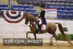 25R1516_01237 thumbnail
