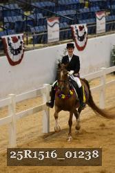 25R1516_01238 thumbnail