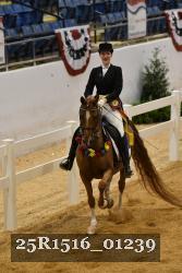 25R1516_01239 thumbnail