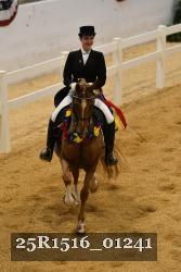25R1516_01241 thumbnail