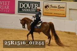 25R1516_01244 thumbnail