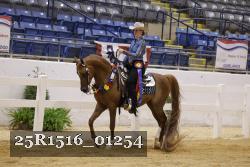 25R1516_01254 thumbnail