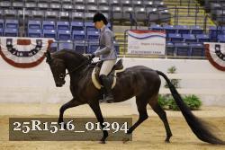 25R1516_01294 thumbnail
