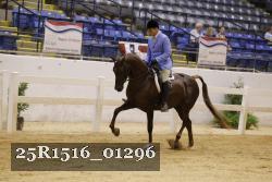 25R1516_01296 thumbnail