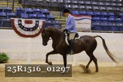 25R1516_01297 thumbnail