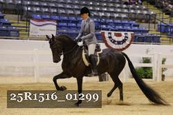 25R1516_01299 thumbnail