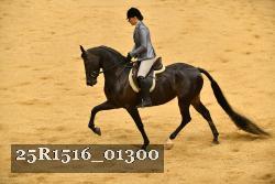 25R1516_01300 thumbnail
