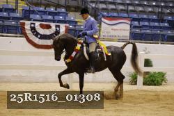 25R1516_01308 thumbnail