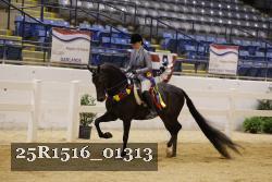 25R1516_01313 thumbnail
