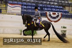 25R1516_01314 thumbnail
