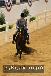 25R1516_01316 thumbnail