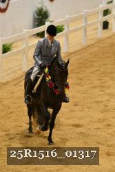 25R1516_01317 thumbnail