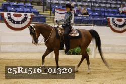 25R1516_01320 thumbnail