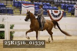 25R1516_01339 thumbnail