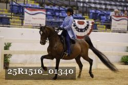 25R1516_01340 thumbnail