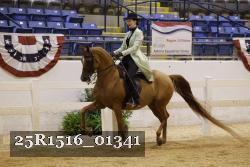 25R1516_01341 thumbnail