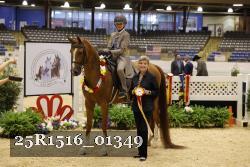 25R1516_01349 thumbnail