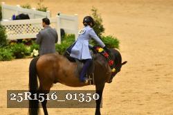 25R1516_01350 thumbnail